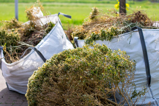 Best Carpet Removal and Disposal  in Avon Park, FL